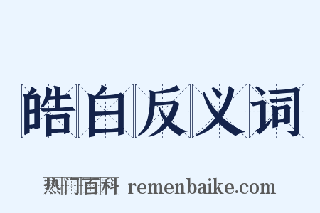 皓白反义词是什么意思的图片